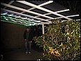 Weihnachtsclantreffen 027.JPG